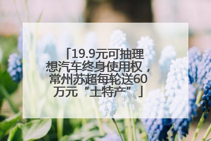 19.9元可抽理想汽车终身使用权，常州苏超每轮送60万元“土特产”